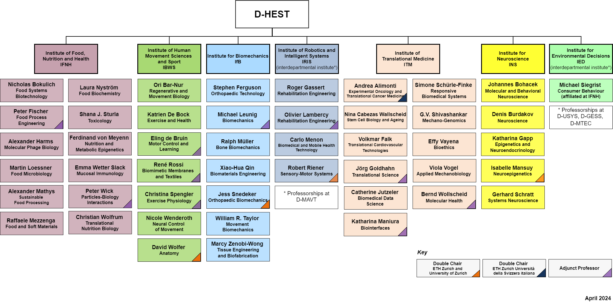 Enlarged view: Organisation Chart D-HEST