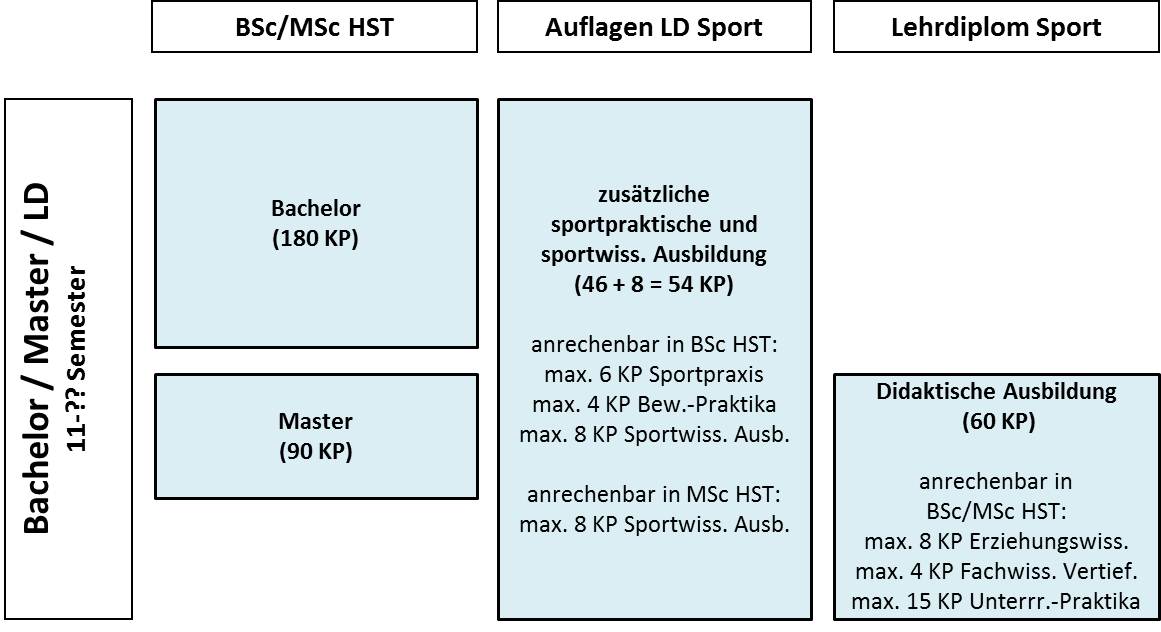 Enlarged view: Structure of Teaching Diploma Sport
