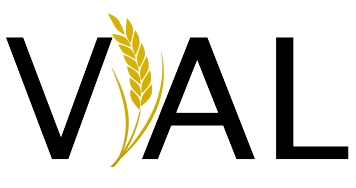 Logo VIAL
